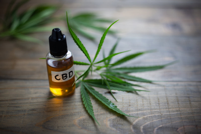 CBD oil and its benefits: everything you need to know